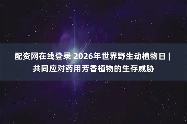 配资网在线登录 2026年世界野生动植物日 | 共同应对药用芳香植物的生存威胁
