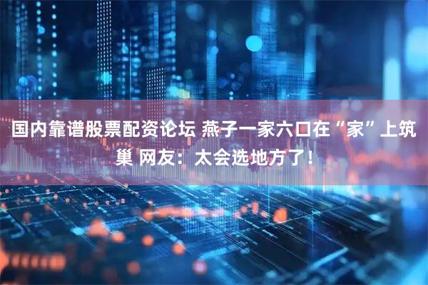 国内靠谱股票配资论坛 燕子一家六口在“家”上筑巢 网友:太会选地方了!